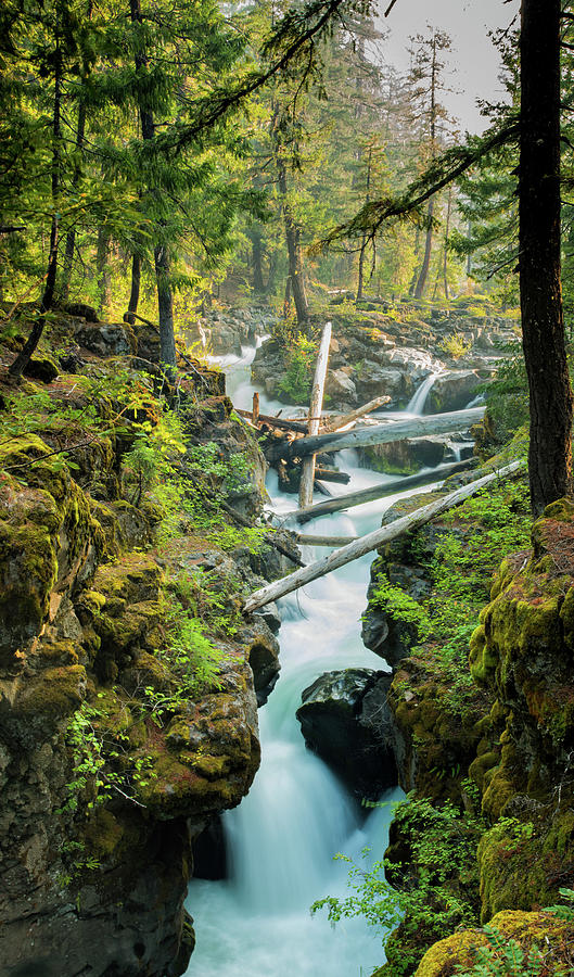 Rogue River Gorge Photograph by Thomas Pettengill