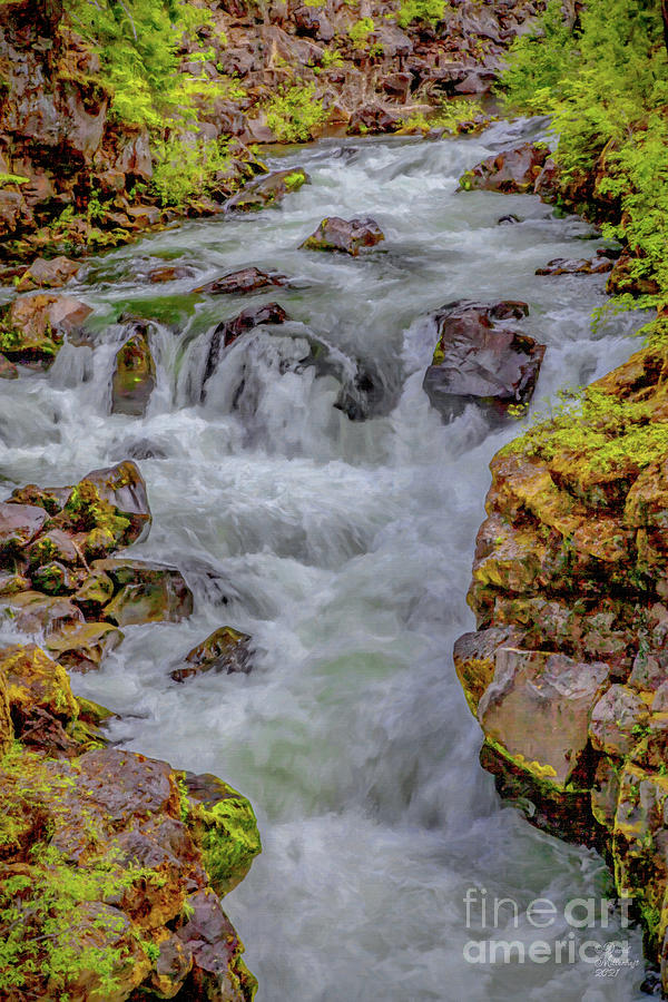 Rogue River, Oregon, David Millenheft, Art, DAM Creative,  Digital Art by David Millenheft