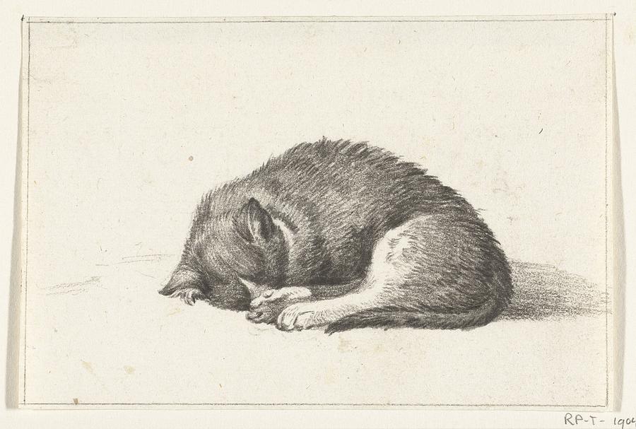 Rolled up lying, sleeping cat, Jean Bernard, 1775 Painting by MotionAge Designs