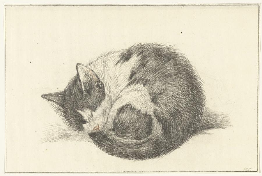 Rolled up lying, sleeping cat, Jean Bernard, 1825 Painting by MotionAge Designs