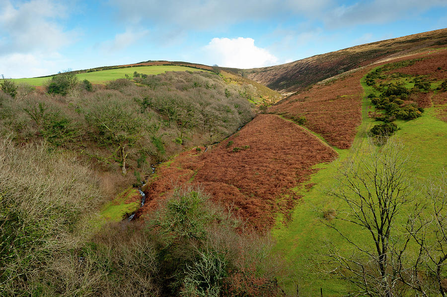 Rolling Dartmoor Hills Photograph by Helen Jackson