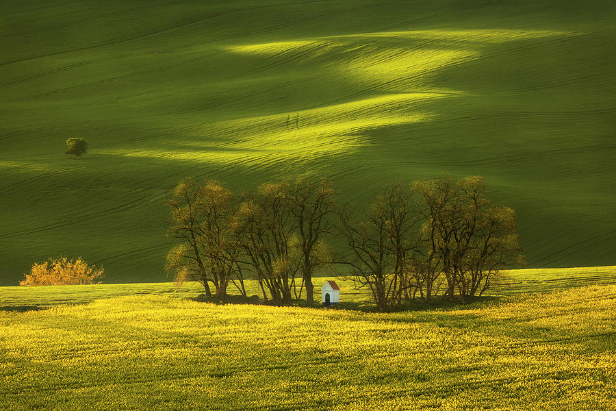 Rolling fields of Moravia Photograph by Piotr Skrzypiec