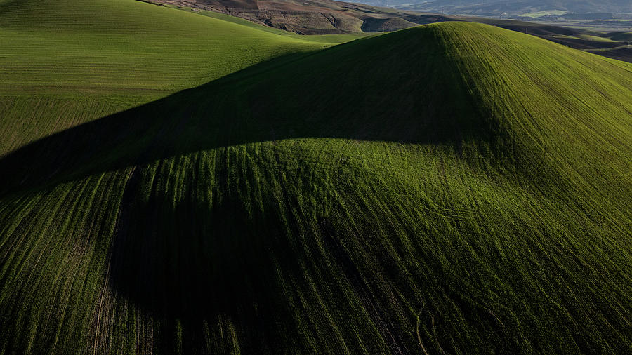 Rolling Green Hills in Southern Italy  Photograph by John McGraw