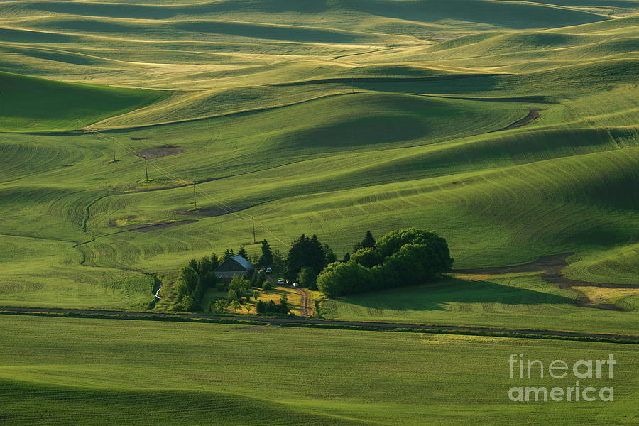 Rolling Green Hills Photograph by Michael Dawson - Pixels