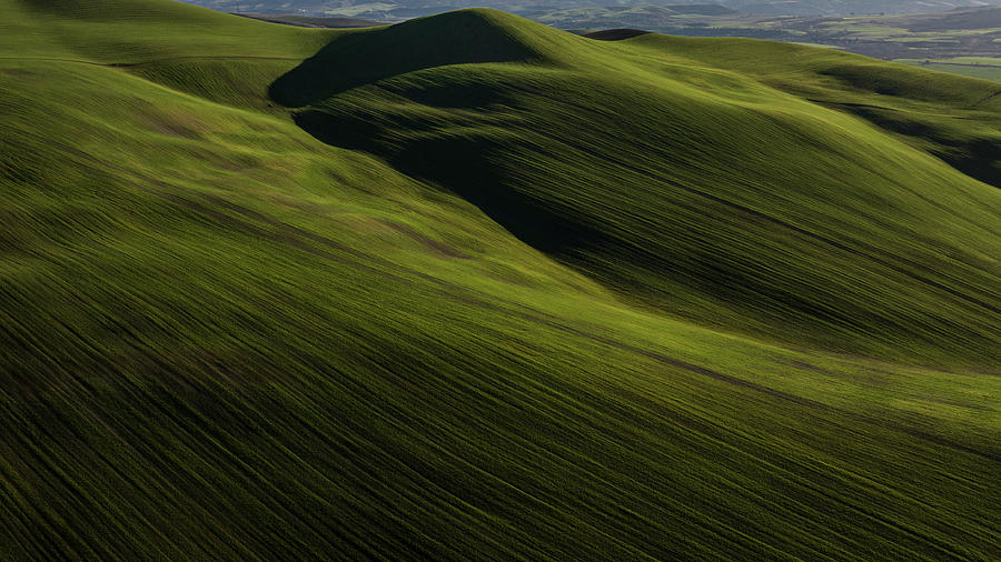 Rolling Green Hills of Southern Italy at sunset  Photograph by John McGraw