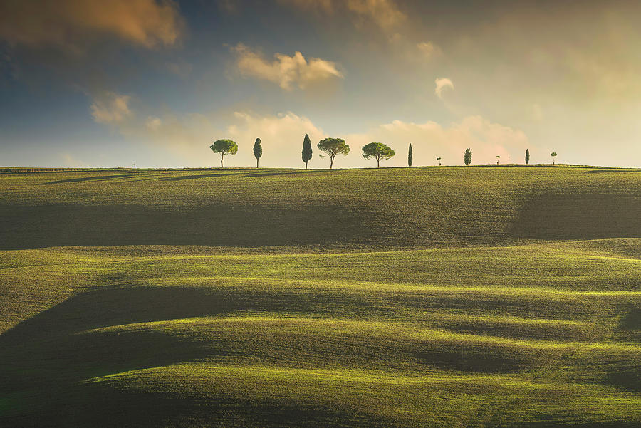 Rolling hills, cypress and pine trees. Tuscany, Italy Photograph by Stefano Orazzini