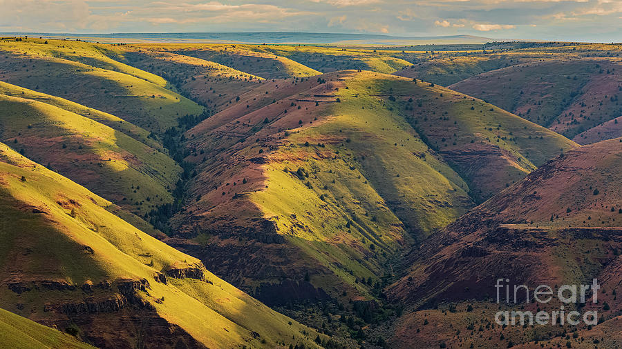 Rolling Hills in Oregon Photograph by Henk Meijer Photography