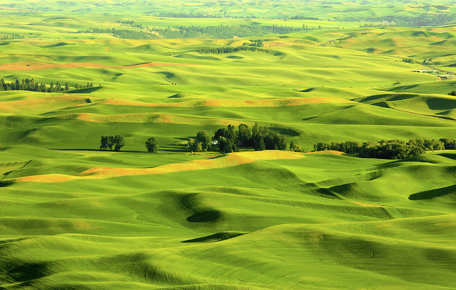 Rolling hills in Washington state at Palouse Photograph by Sreedhar ...