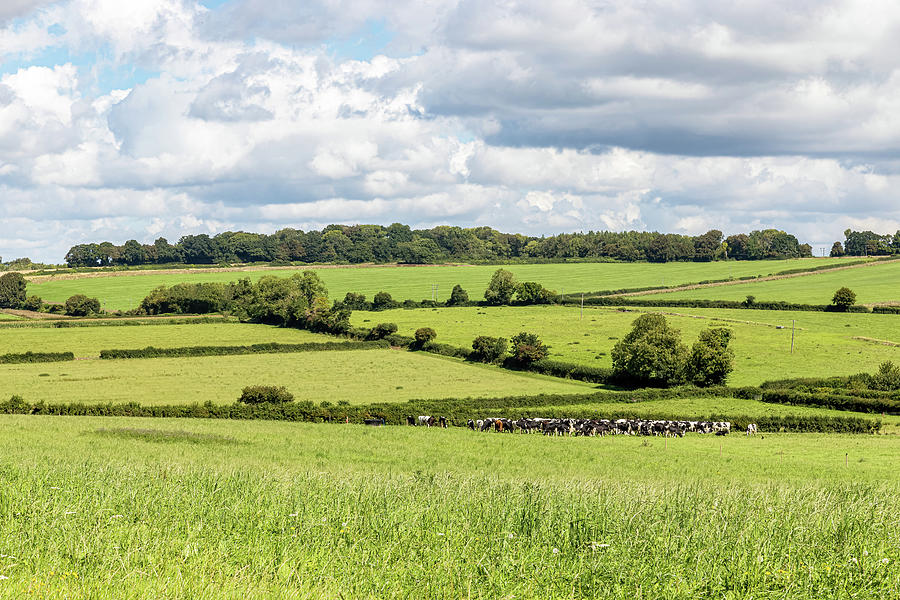 Rolling Hills of Hampshire Photograph by Shirley Mitchell