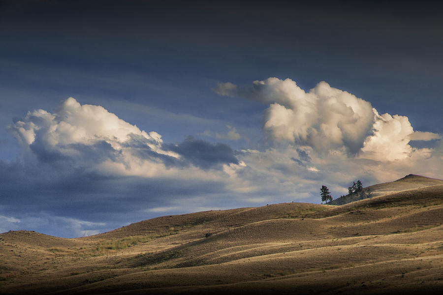 Rolling Hills with White Clouds in Yellowstone National Park Photograph by Randall Nyhof