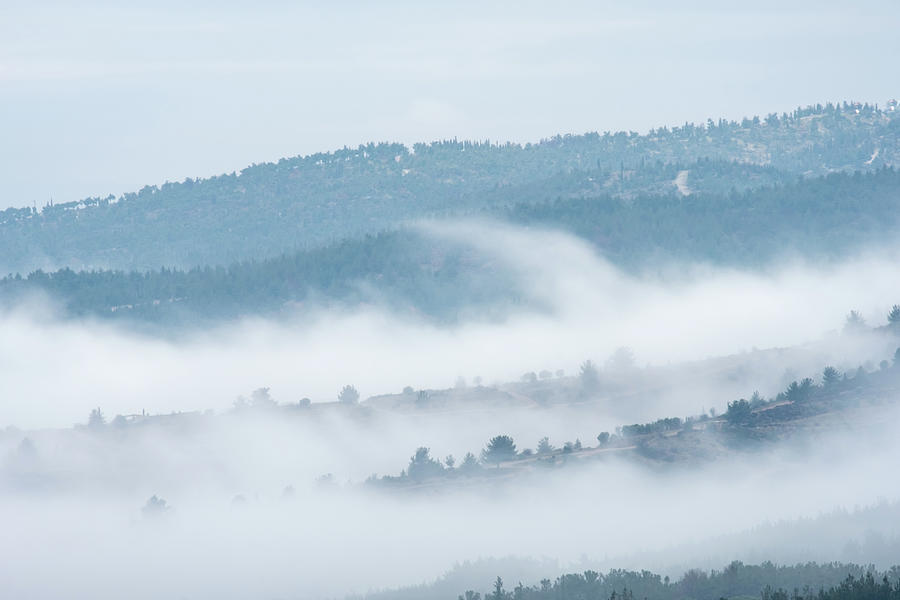Rolling Mist on Hills with Coniferous Forest in a Winter Morning II Photograph by Alexios Ntounas