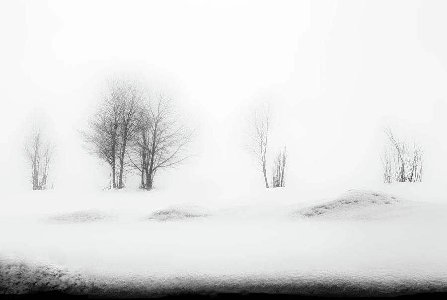 Rolling Snow Photograph by Angelika Vogel