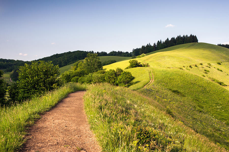 Rolling summer hills Photograph by Dennis Fischer Photography