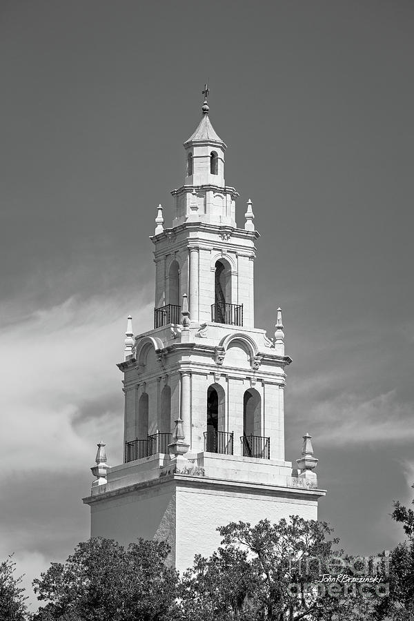 Rollins College Knowles Memorial Chapel Photograph by University Icons