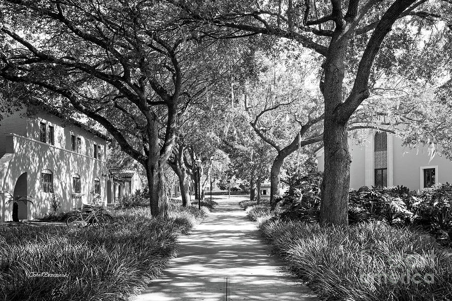 Rollins College Landscape Photograph by University Icons