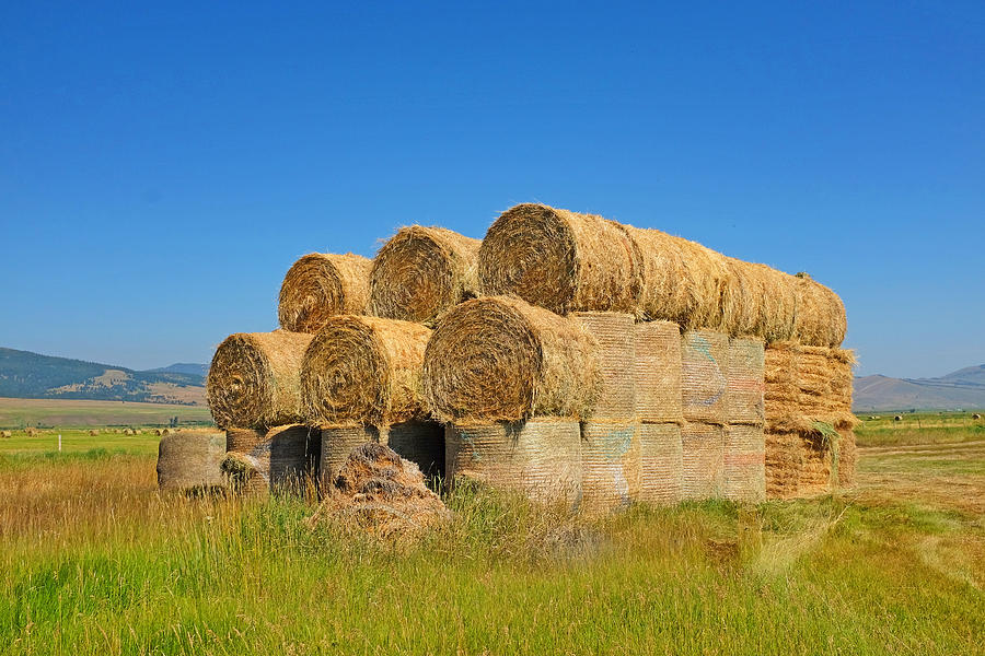 Rolls of Hay in a field Photograph by Buddy Mays
