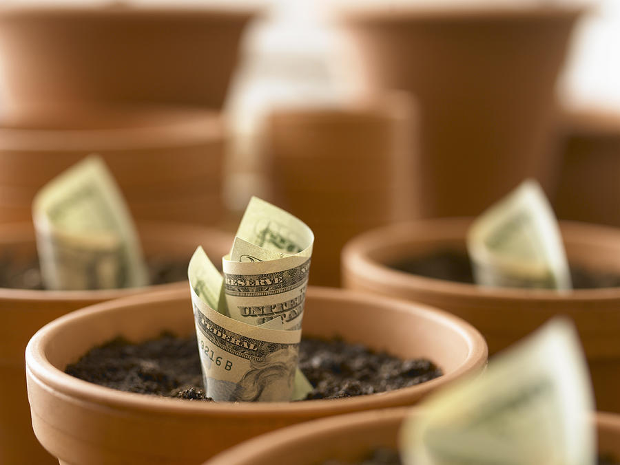 Rolls of twenty dollar bills growing in flowerpots Photograph by Adam Gault