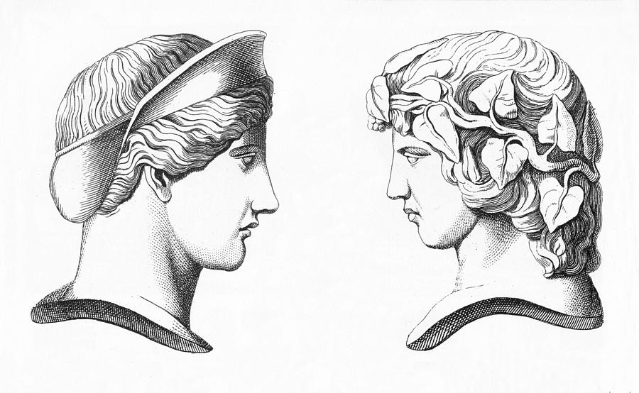 Roman Busts Engraving Drawing by Bauhaus1000