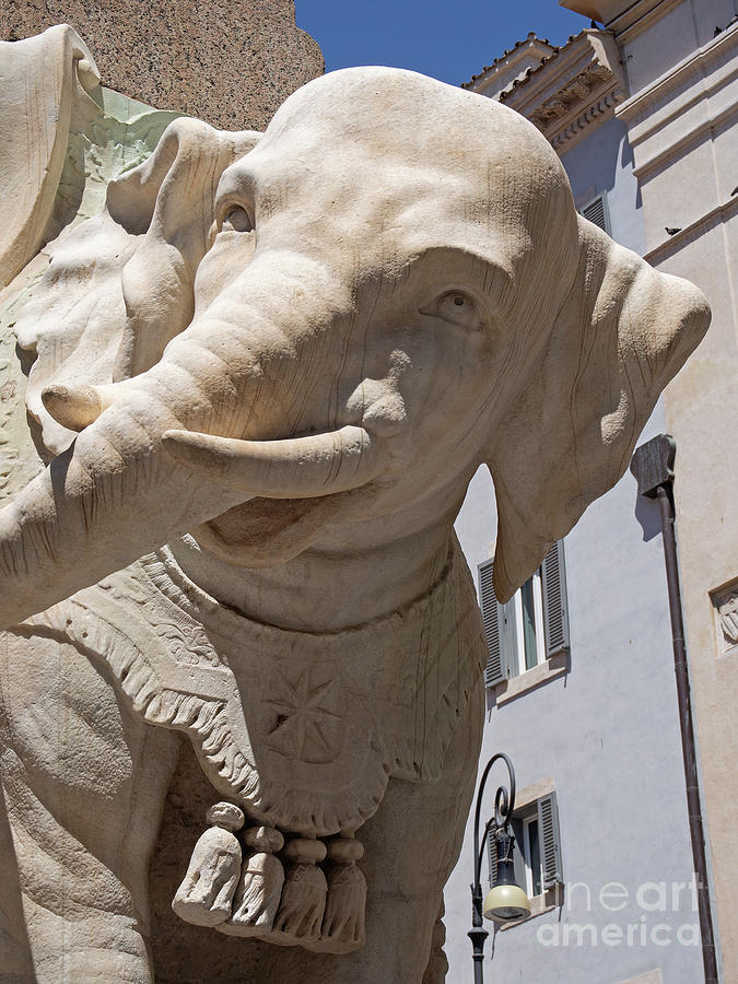 Roman Elephant Photograph by Christopher Wentworth Roman Elephant Photograph by Christopher Wentworth