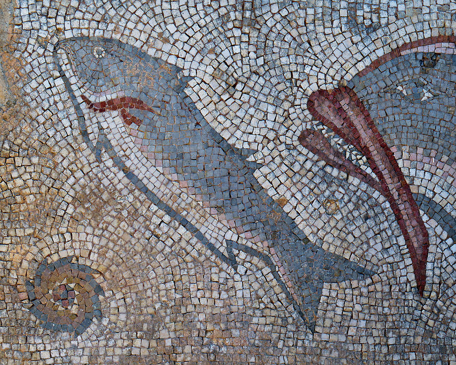 Roman Fish Mosaic in Milreu Photograph by Angelo DeVal