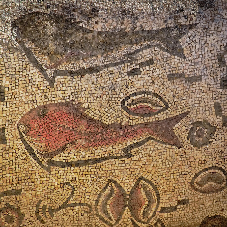 Roman Fish Mosaic of Milreu Photograph by Angelo DeVal