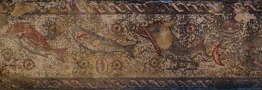 Roman Fish Mosaic Panel in Milreu Photograph by Angelo DeVal