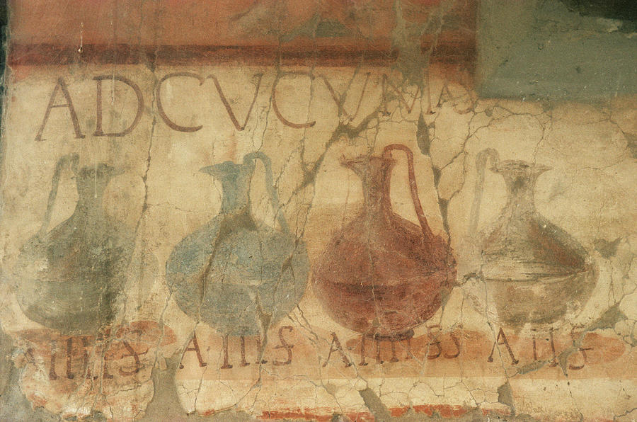 Roman Frescoes Photograph by Pasquale Sorrentino