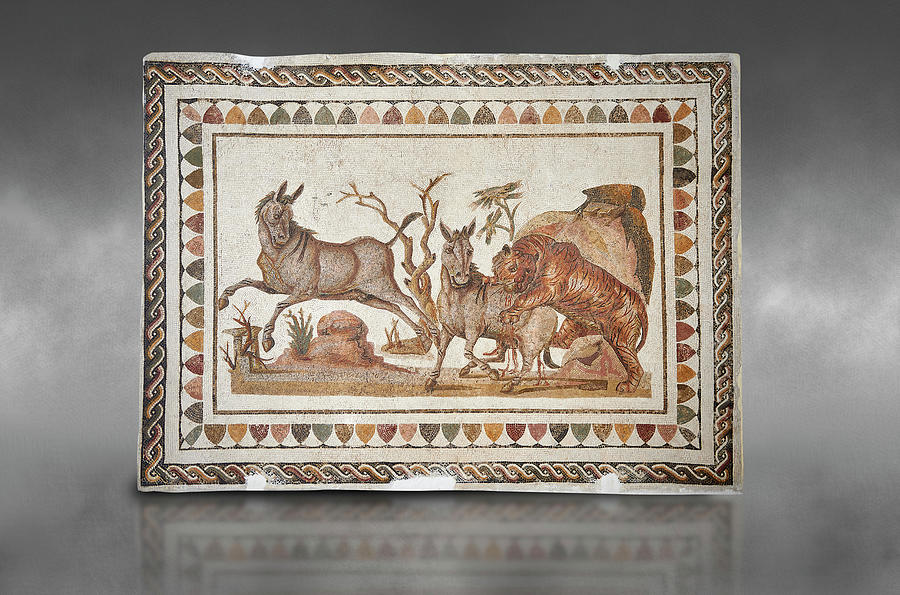Roman mosaic of a lion attacking two onagers -  El Djem Archaeological Museum #1 Photograph by Paul E Williams