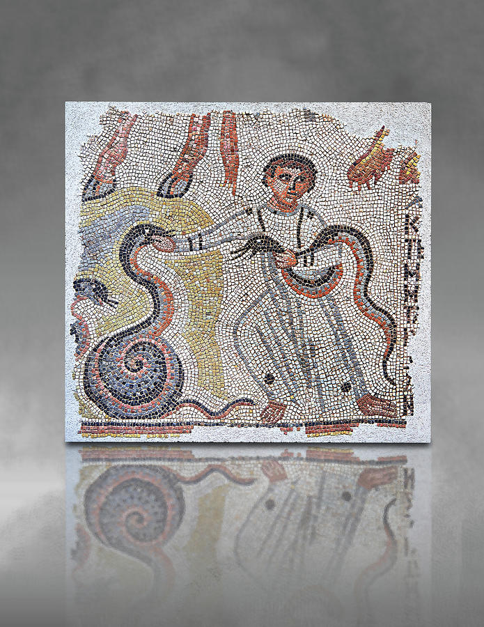 Roman mosaic of a young boy playing with snakes - Louvre Museum Paris Photograph by Paul E Williams