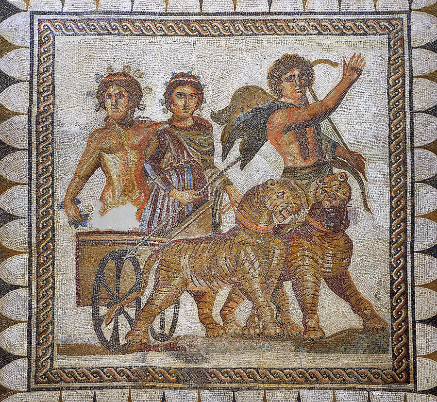 Roman Mosaic of Baccus  - Archaeological Museum Seville Spain Photograph by Paul E Williams