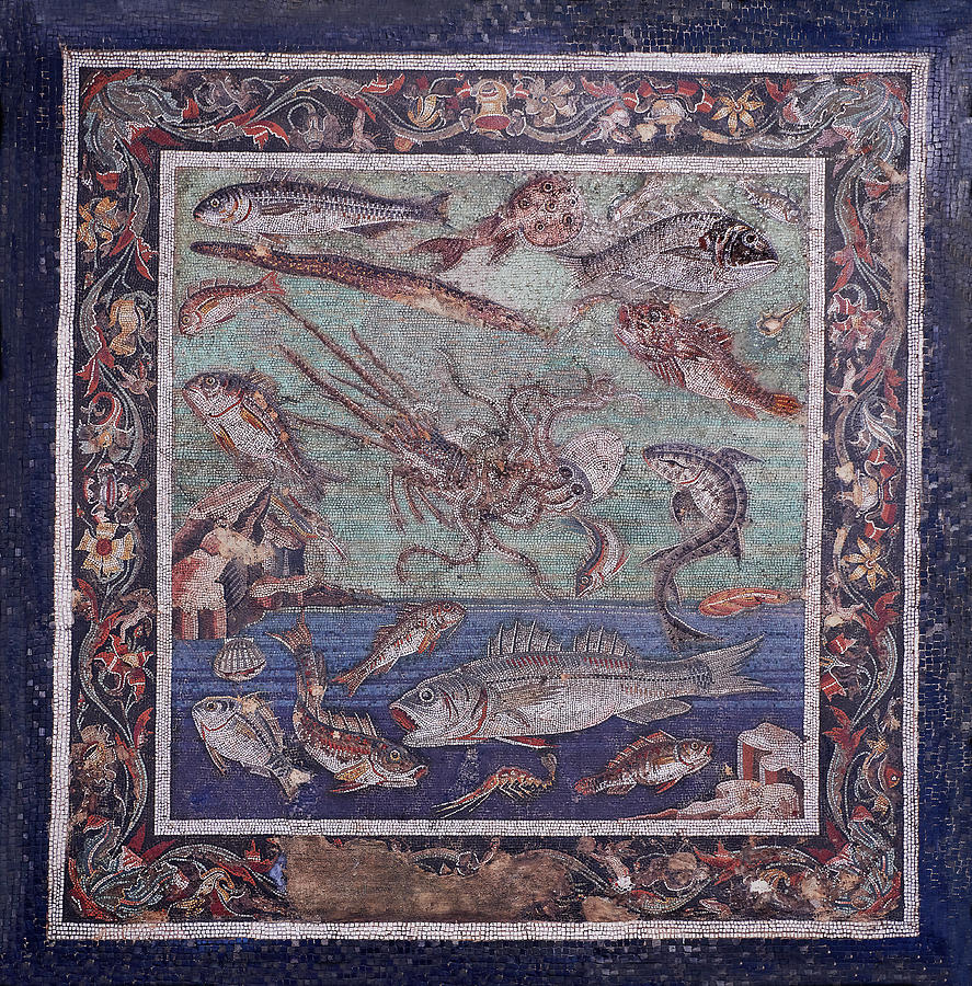 Roman mosaic of fish from Pompei - Naples Archaeological Musum Italy Photograph by Paul E Williams
