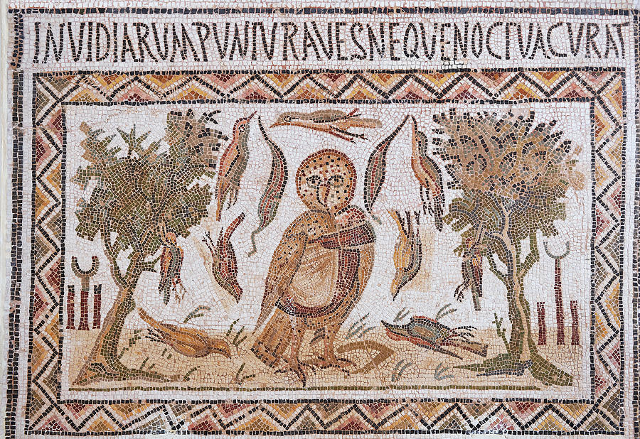 Roman mosaics depicting an owl  - El Djem Archaeological Museum #1 Photograph by Paul E Williams