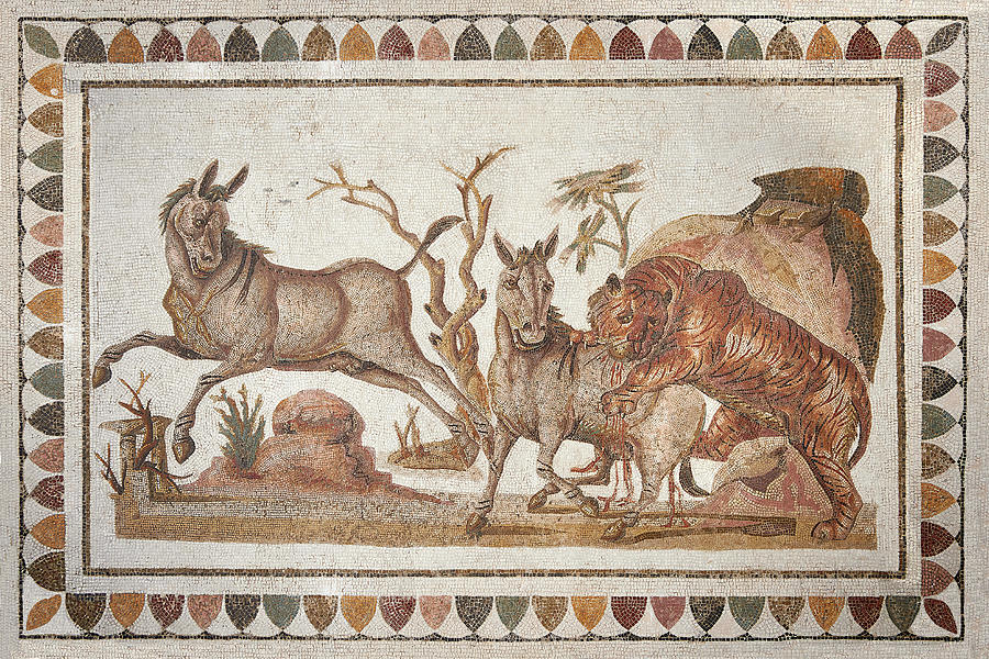 Roman mosaics design depicting a lion attacking two onagers - El Djem Archaeological Museum Photograph by Paul E Williams