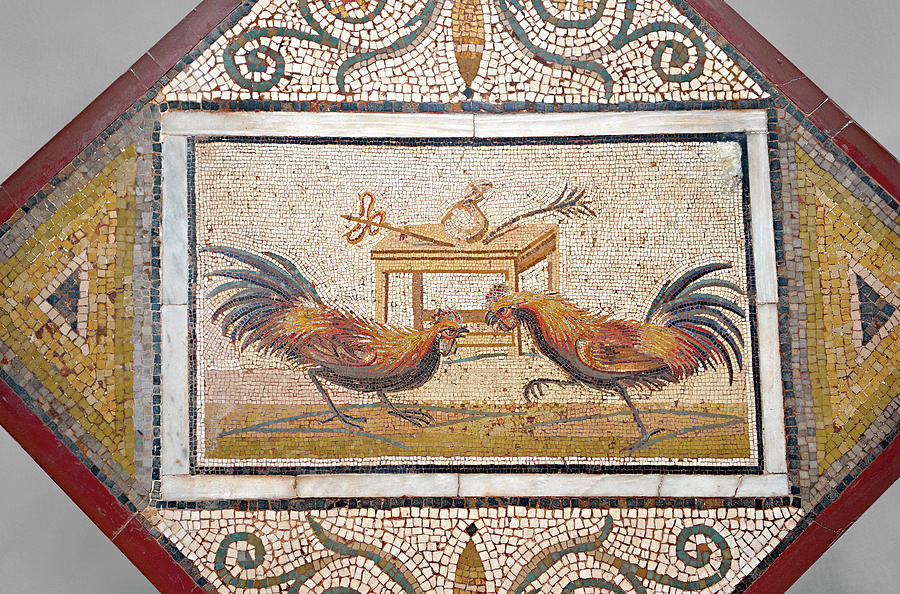 Roman mosaics of a Cock Fight - Naples Archaeological Museum Italy Photograph by Paul E Williams