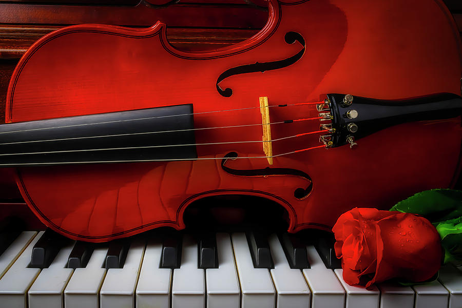 Romance With Violin And Red Rose Photograph by Garry Gay - Fine Art America