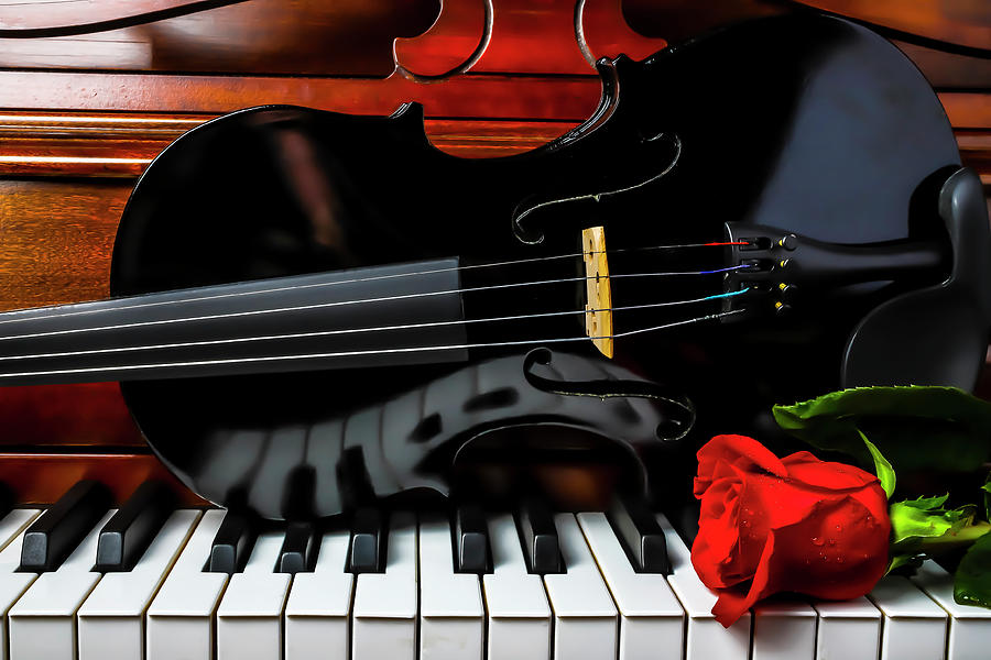 Romantic Black Violin Photograph by Garry Gay - Fine Art America