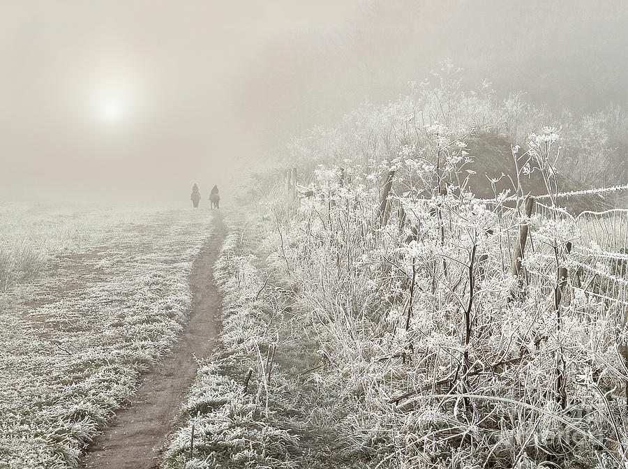 Delicate Romantic Foggy Frosty Winter Morning Photograph by Tatiana Bogracheva
