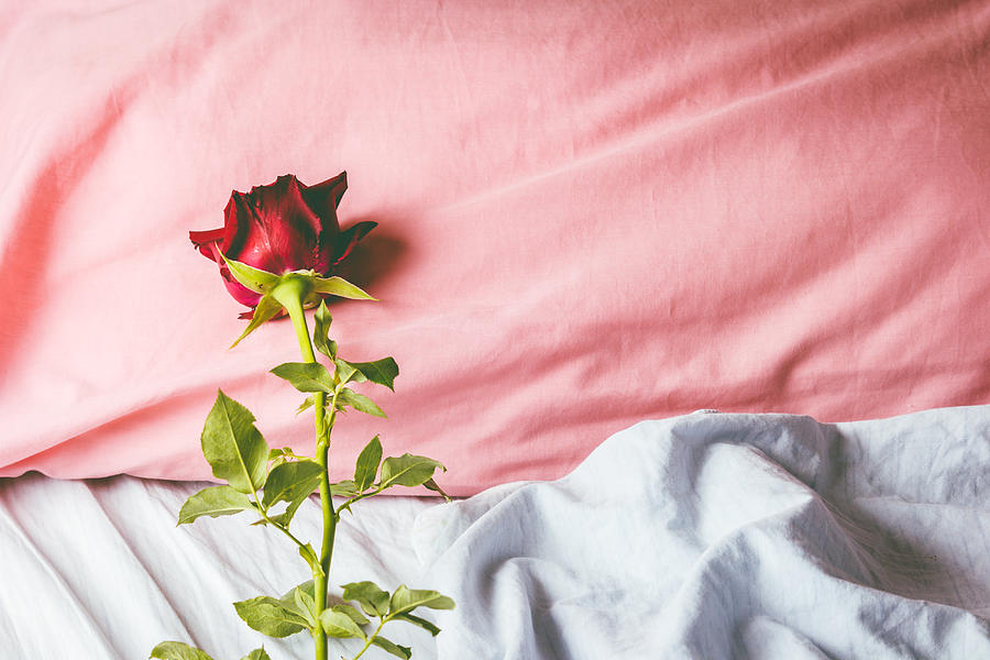 Romantic getaway with red rose on a pillow Photograph by Arto_canon