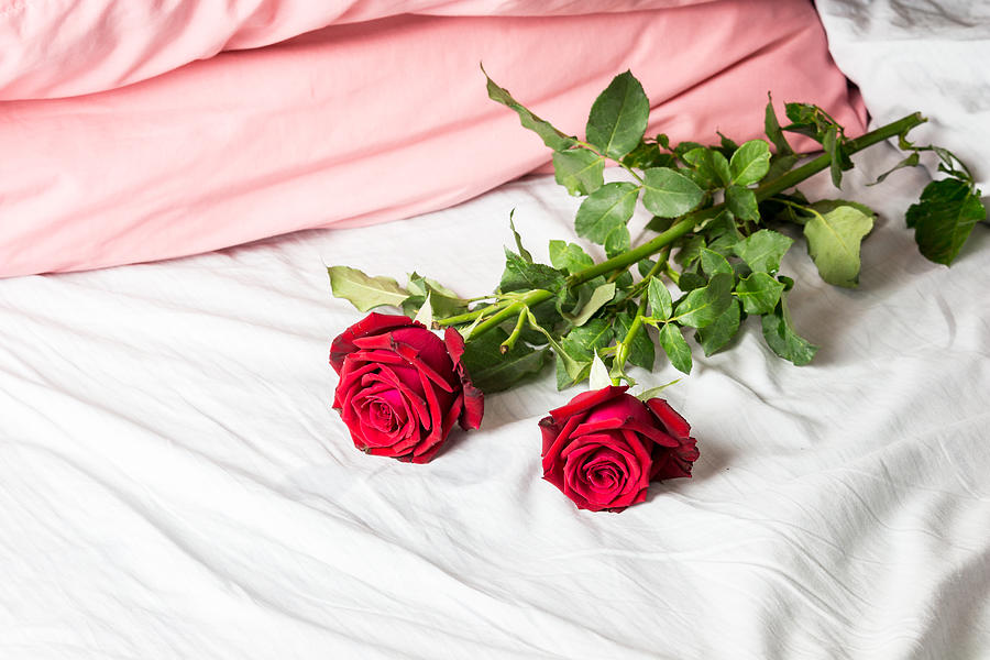 Romantic getaway with red roses on bed Photograph by Arto_canon