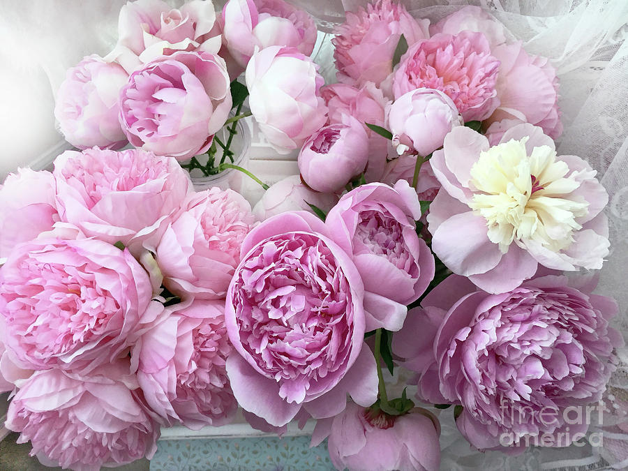 Flower Photograph - Romantic Pastel Pink Peonies Bouquet of Flowers - Shabby Chic Peonies by Kathy Fornal
