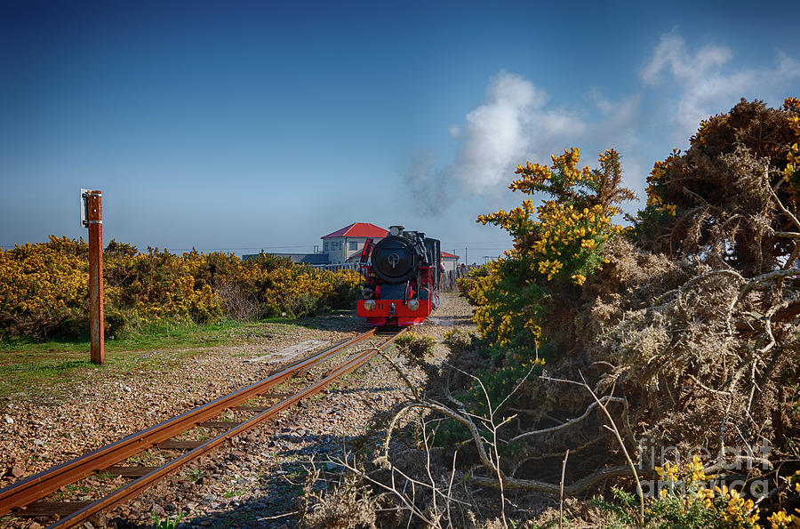 Train Digital Art - Romney, Hythe and Dymchurch Railway by Nigel Bangert