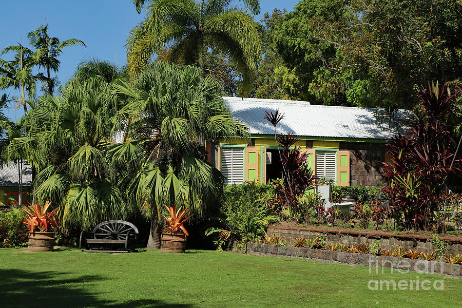 Romney Manor Basseterre St Kitts And Nevis Photograph by Christiane ...