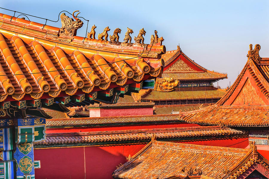 Roof Figurines Yellow Roofs Forbidden City Palace Beijing China ...