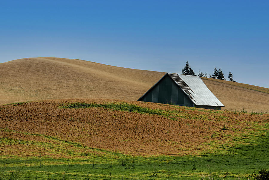 Barn Photograph - Rooftop in the Wheat Fields by Connie Carr