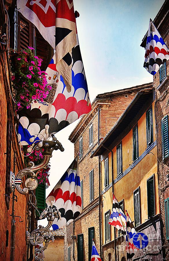 Roofs and Flags in Siena  Photograph by Ramona Matei