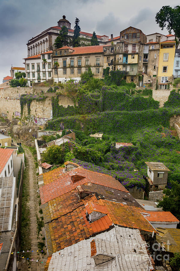 Roofs and houses in Porto Photograph by Vicente Sargues
