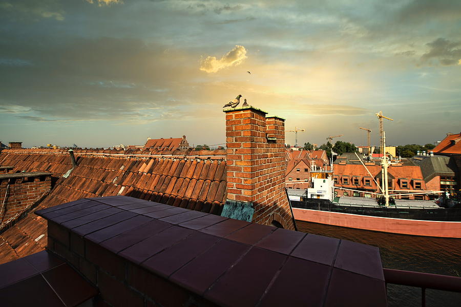Roofs Of Gdansk Poland Photograph by Aleksandrs Drozdovs