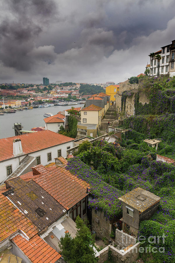 Roofs of old houses in Porto Photograph by Vicente Sargues