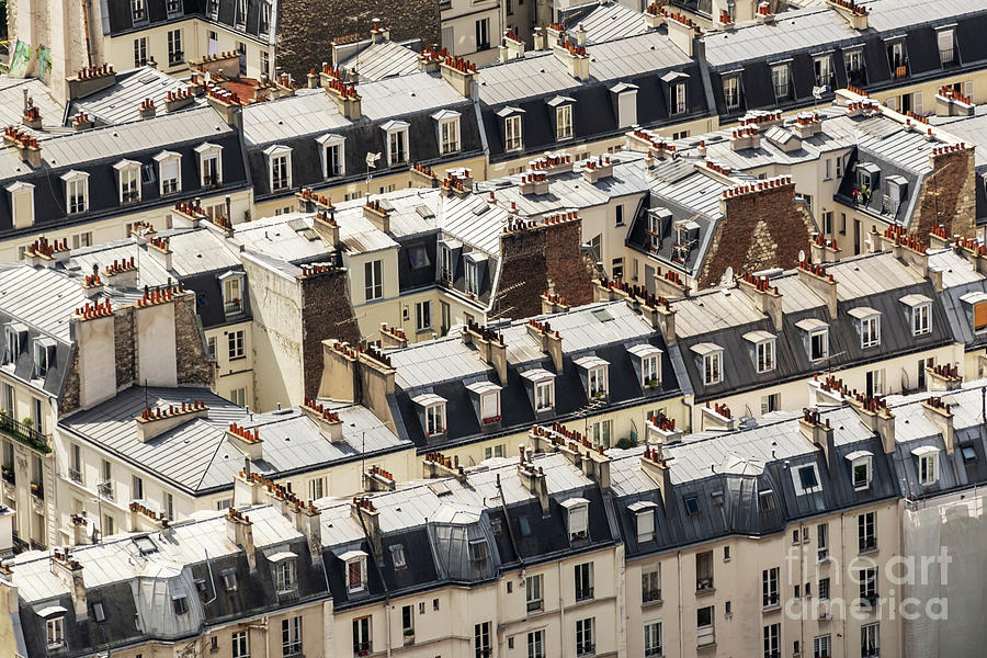 Roofs of Paris Photograph by Delphimages Paris Photography