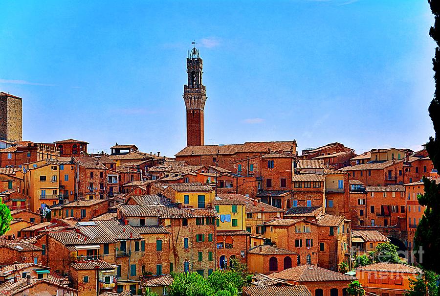 Roofs of Siena Photograph by Ramona Matei